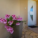 Viki Stinjan Apartment Pula