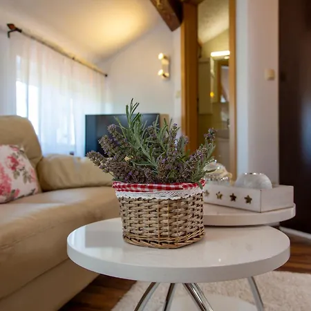 Apartmán Viki Stinjan *