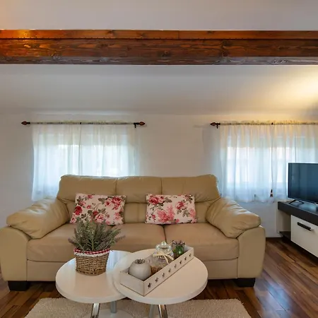 Apartman Viki Stinjan *