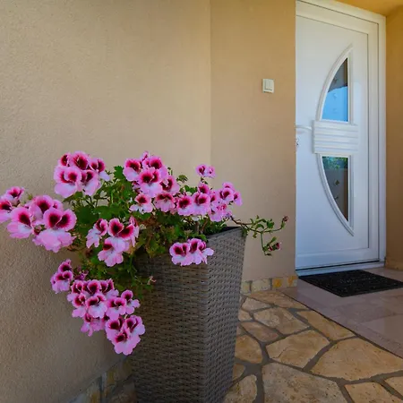 Viki Stinjan Апартаменти Пула