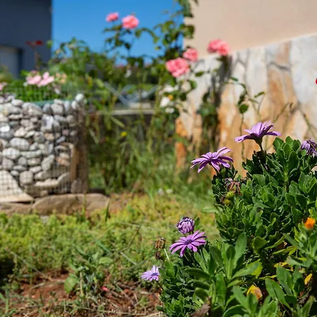 Apartman Viki Stinjan