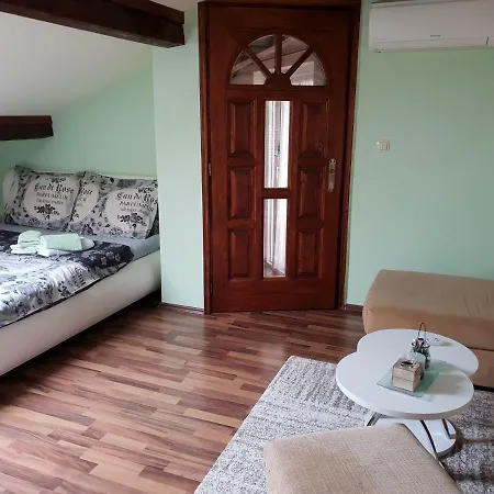 Viki Stinjan * Пула