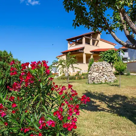 Viki Stinjan Пула