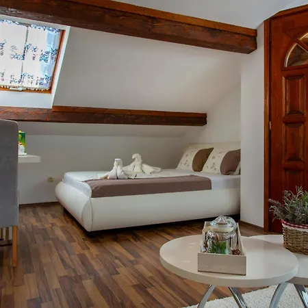 Апартаменты Viki Stinjan