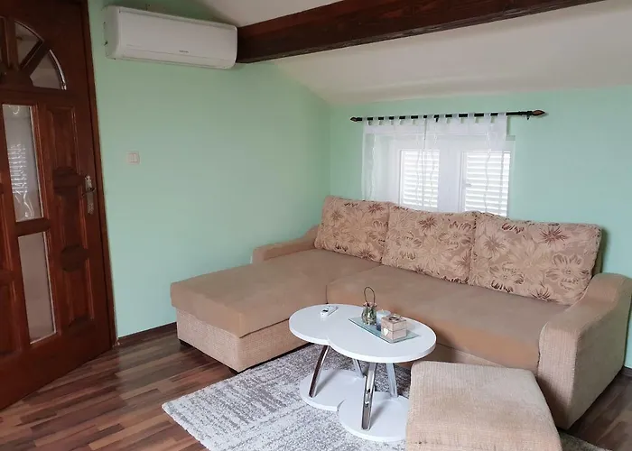 Viki Stinjan פולה