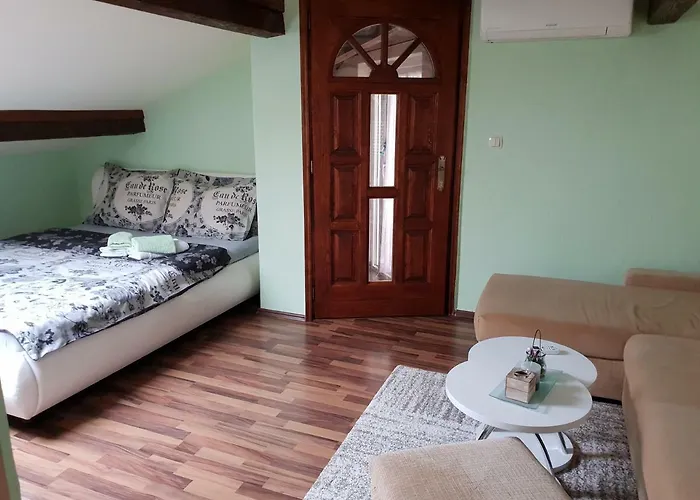 Viki Stinjan * פולה