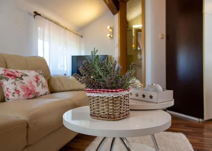 Apartman Viki Stinjan *
