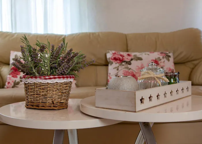 Viki Stinjan Apartman *