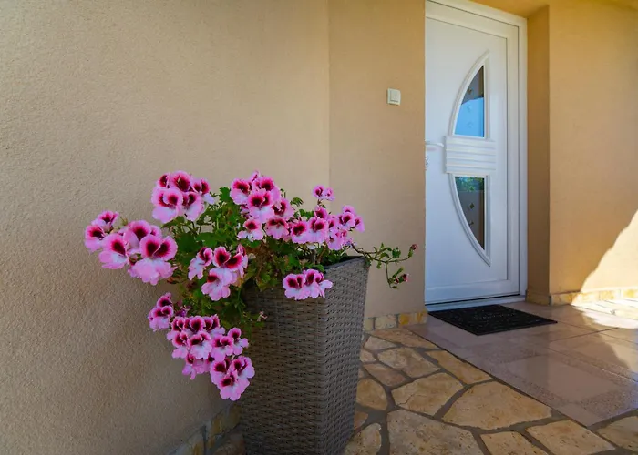 Viki Stinjan Apartman Pula