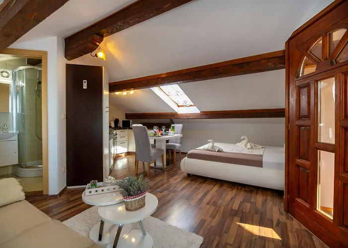 Viki Stinjan Apartman *