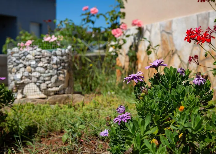Apartman Viki Stinjan