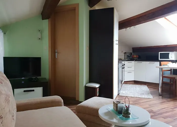 Apartman Viki Stinjan Pula